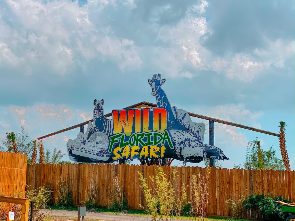 wild florida safari drive thru park rhino