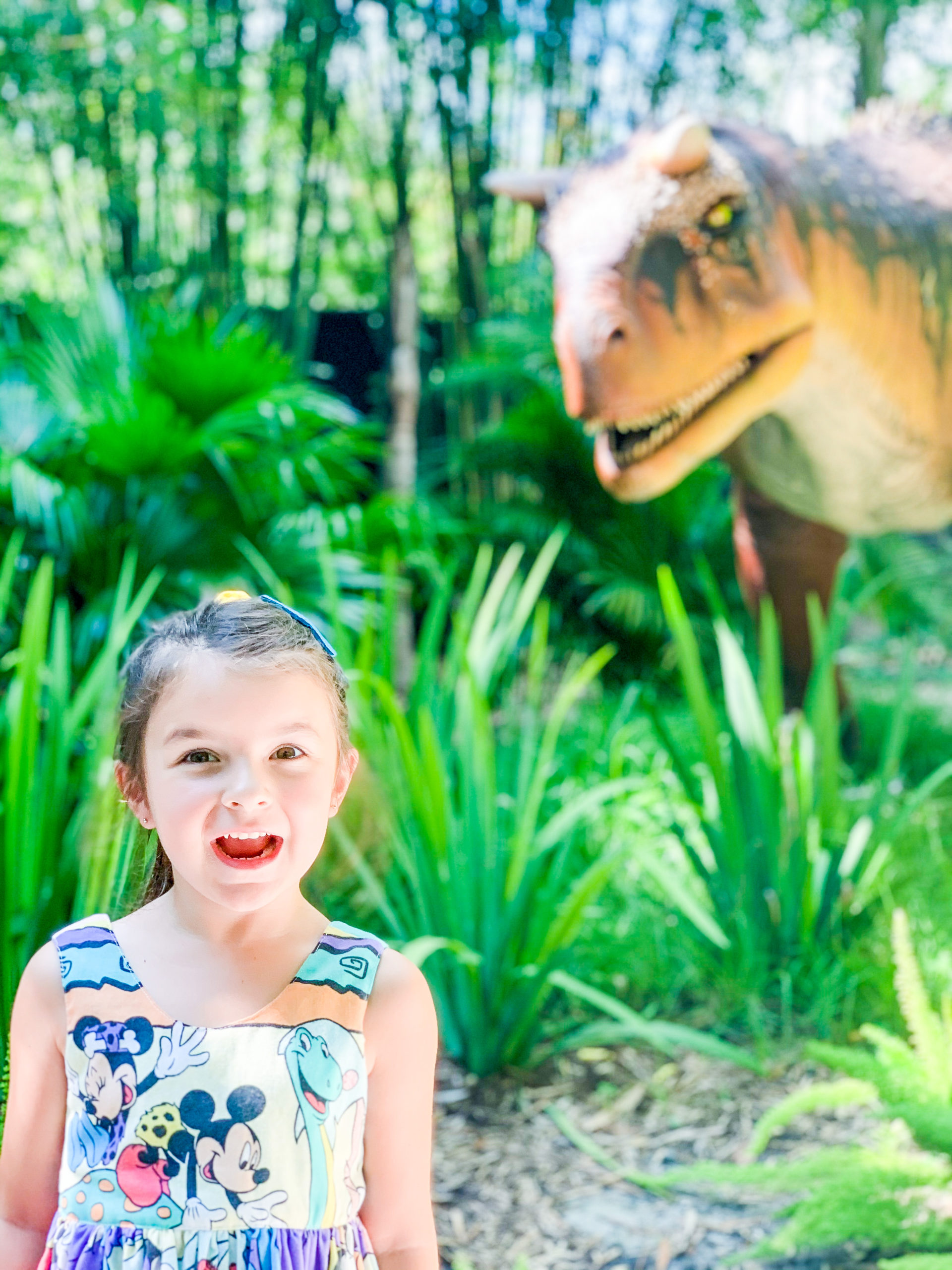 Our Recent Visit To Zoo Tampa