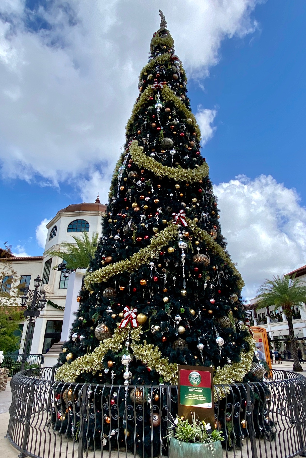 Disney Springs Christmas Tree Stroll Preview