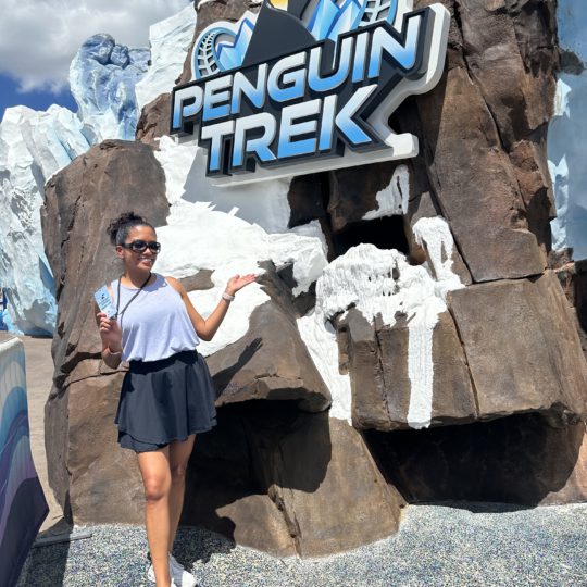 Dive into fun at SeaWorld Orlando with the New Penguin Trek Coaster